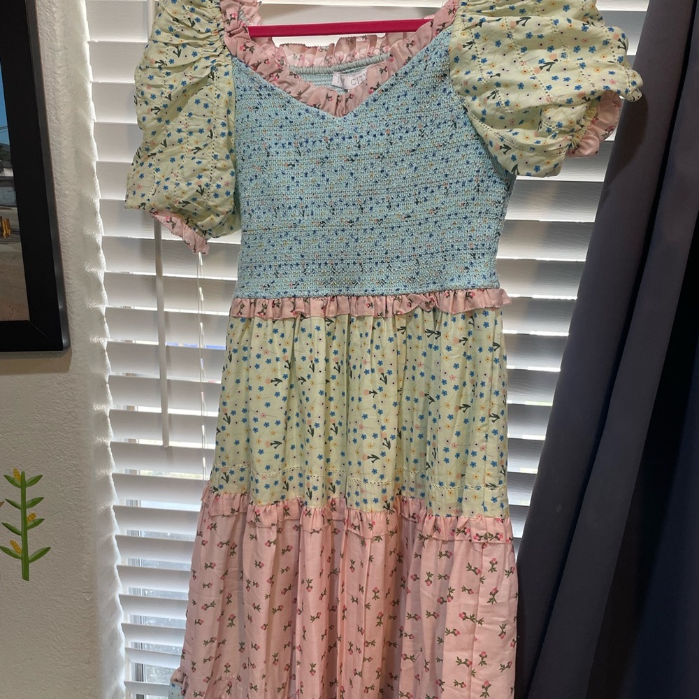 Ivy city co emily dress size M